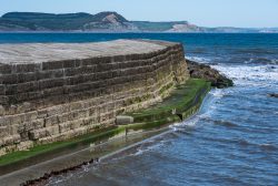 The Cobb