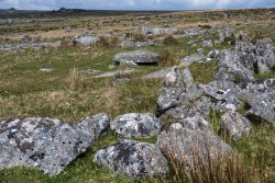 Prähistorische Stätte Merrivale