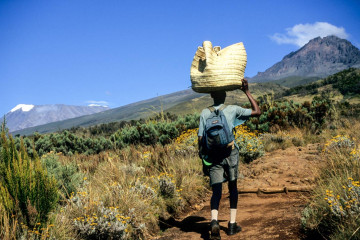 Träger auf dem Weg - rechts der Mawenzi. links der Kibo
