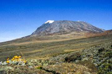 Blick auf den Kibo, den höchsten der 3 Gipfelkrater