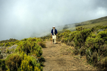 Heidekrautlandschaft