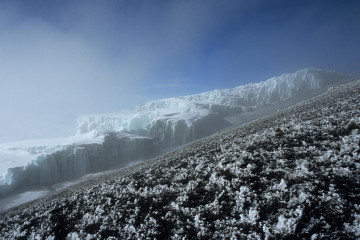 "Schnee auf dem Kilimanjaro"