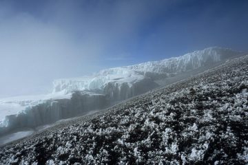 "Schnee auf dem Kilimanjaro"